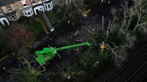 Vegetation Management